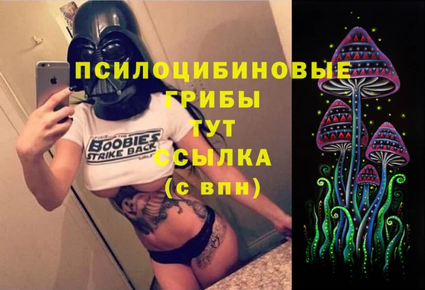 дурь Горно-Алтайск