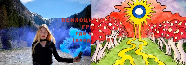 марки nbome Гусь-Хрустальный