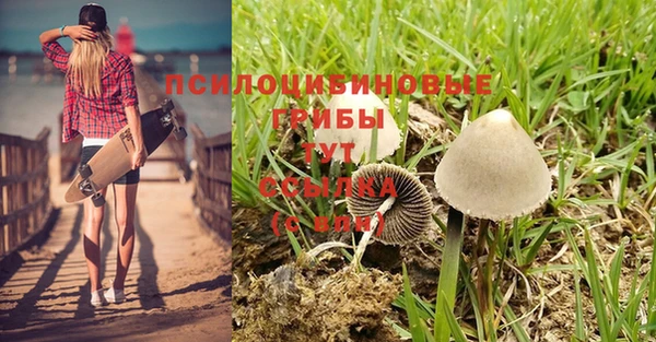марки nbome Гусь-Хрустальный