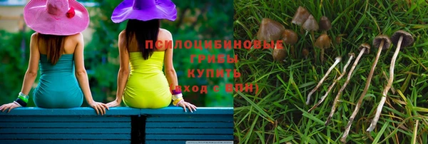 марки nbome Гусь-Хрустальный